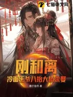 《刚和离，冷面王爷八抬大轿求娶》小说封面