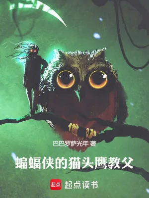 《蝙蝠侠的猫头鹰教父》小说封面