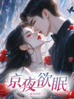《京夜欲眠》小说封面