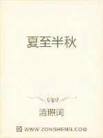 《夏至半秋》小说封面
