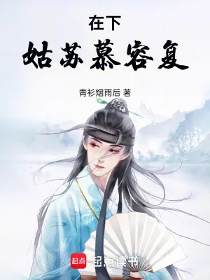 《在下姑苏慕容复》小说封面