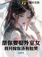 《是你要娶外室女，我另嫁你还有脸哭？》小说封面