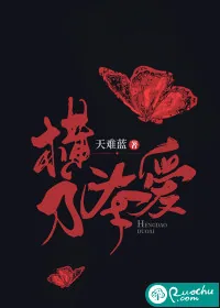 《横刀夺爱》小说封面