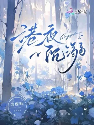 《港夜沉溺》小说封面