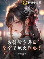 《为侍婢多年后，整个皇城火葬场了》小说封面