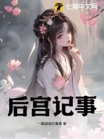 《后宫记事》小说封面