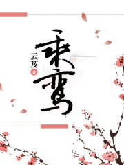 《乘鸾》小说封面
