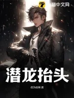 《潜龙抬头》小说封面