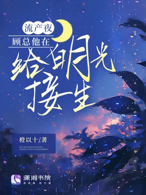 《流产夜,顾总他在给白月光接生》小说封面