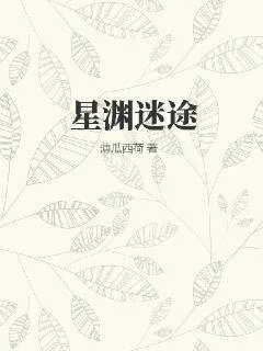 《星渊迷途》小说封面