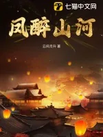 《凤醉山河》小说封面