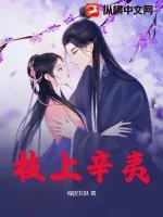 《枝上辛夷》小说封面
