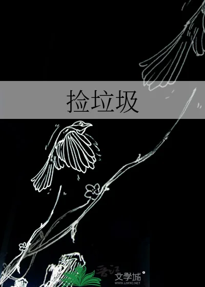 《捡垃圾》小说封面
