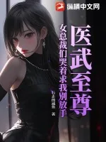 《医武至尊：女总裁们哭着求我别放手》小说封面