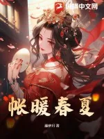 《帐暖春夏》小说封面
