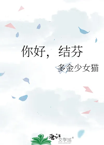 《你好，结芬》小说封面