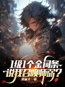 《1级1个金词条，说我召唤师弱？》小说封面