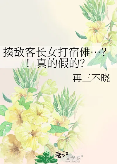 《揍敌客长女打宿傩…？！真的假的？》小说封面