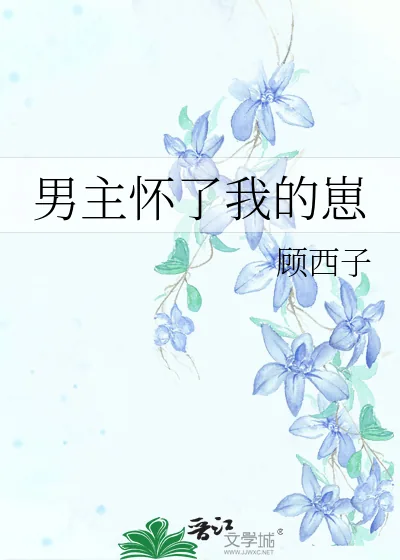 《男主怀了我的崽》小说封面