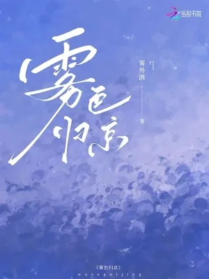 《雾色归京》小说封面
