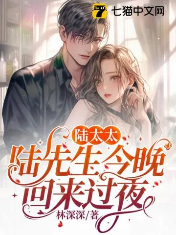 《陆太太，陆先生今晚回来过夜》小说封面
