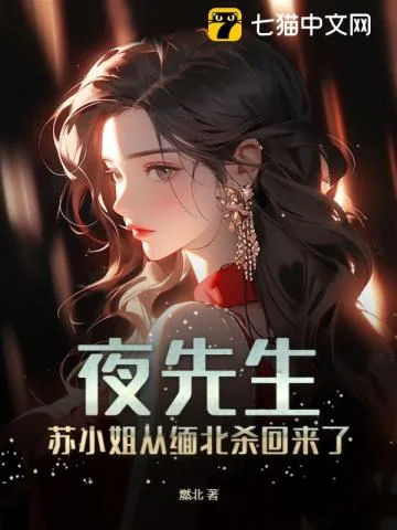 《夜先生,苏小姐从缅北杀回来了》小说封面