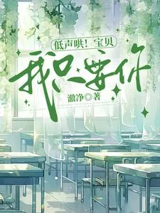 《低声哄！宝贝，我只要你》小说封面