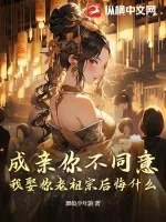 《成亲你不同意,我娶你老祖宗后悔什么?》小说封面