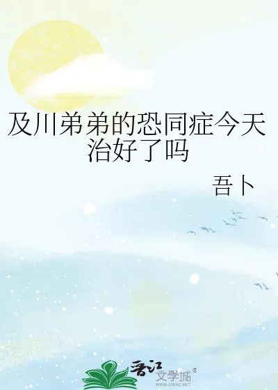 《及川弟弟的恐同症今天治好了吗》小说封面