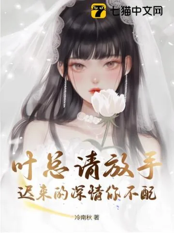《叶总请放手,迟来的深情你不配》小说封面