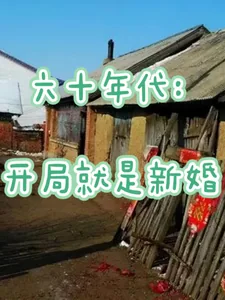 《六十年代:开局就是新婚》小说封面