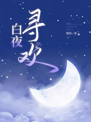 《白夜寻欢》小说封面