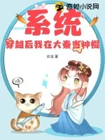 《系统：穿越后我在大秦当神棍》小说封面