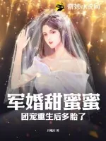 《军婚甜蜜蜜,团宠重生后多胎了》小说封面