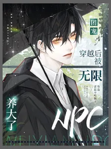 《团宠：穿越后被无限NPC养大了》小说封面