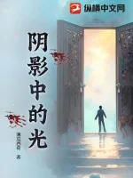 《阴影中的光》小说封面