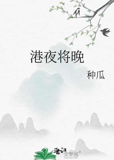 《港夜将晚》小说封面