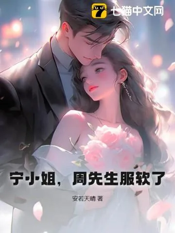 《宁小姐,周先生服软了》小说封面