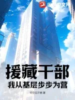 《援藏干部：我从基层步步为营》小说封面