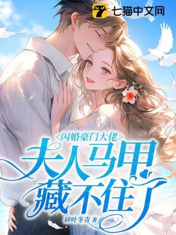 《闪婚豪门大佬，夫人马甲藏不住了》小说封面