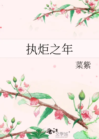 《执炬之年》小说封面