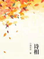 《诗相》小说封面