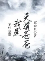 《不好意思，我是天道爸爸》小说封面