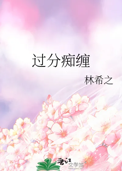 《过分痴缠》小说封面