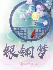 《银翎梦》小说封面