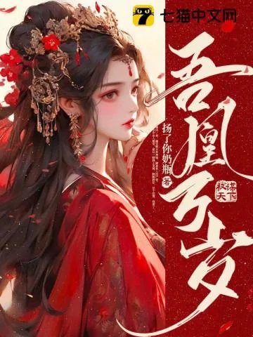 《吾凰万岁》小说封面