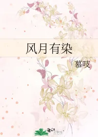 《风月有染》小说封面