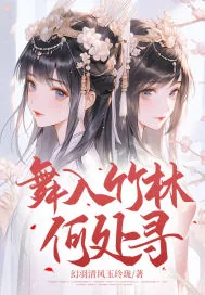 《舞入竹林何处寻》小说封面