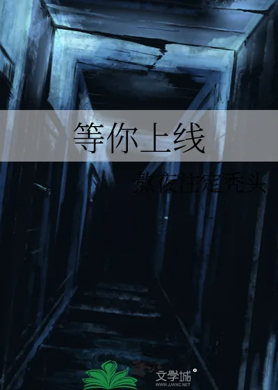 《等你上线》小说封面