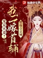 《宠妾灭妻？我二嫁首辅燃爆全京城》小说封面